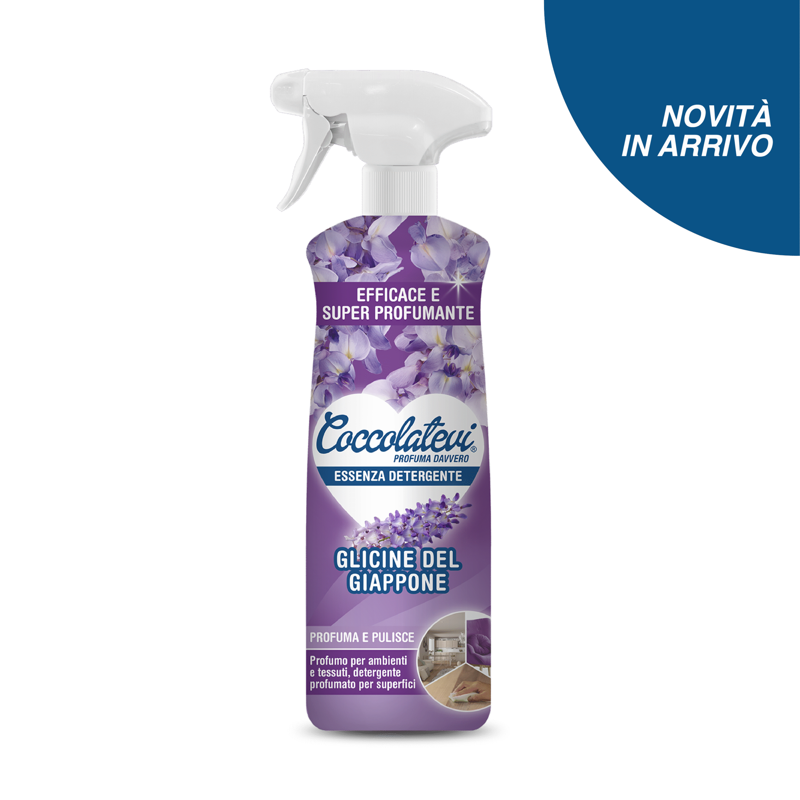Essenza Detergente Coccolatevi